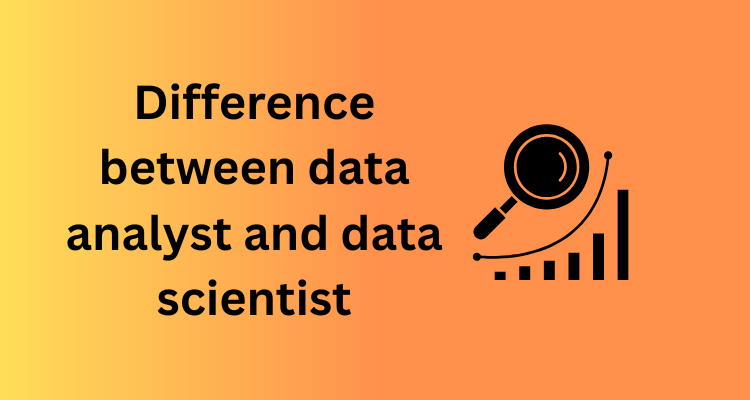 Data analyst