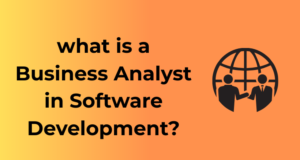 BA in software development