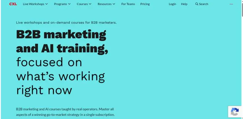 CXL website promoting B2B marketing and AI training through live workshops and on-demand courses.